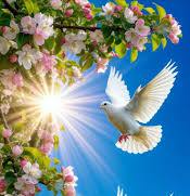 Ифротгароӣ заволи осоиштагист